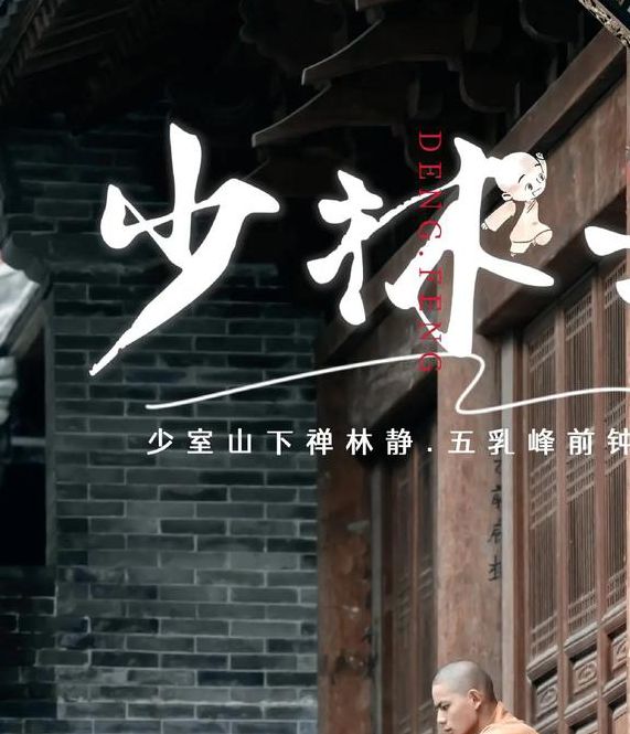 八零后少林方丈txt下载