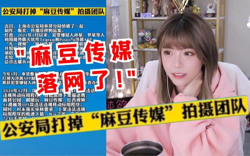 麻豆文化影视传媒网站入口