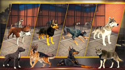 三角洲部队突击队官网版