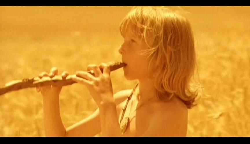 野花电影3在线观看免费完整版