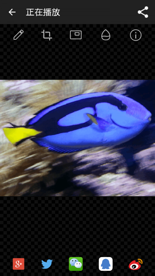 GIF工作室官网版