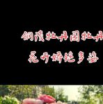 国色天香社区在线观看免费直播