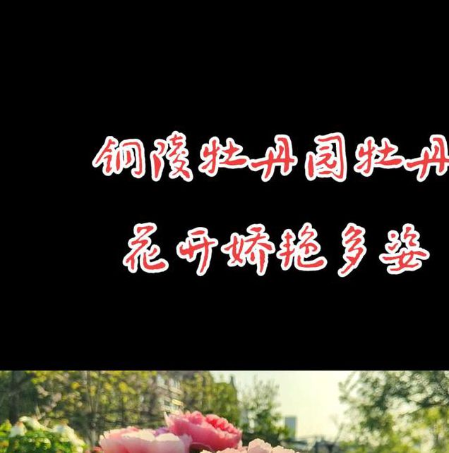 国色天香社区在线观看免费直播