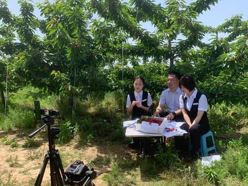 樱桃直播72966bcom