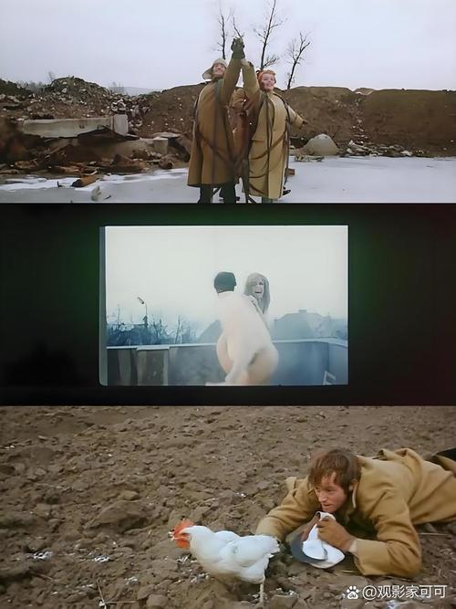 美剧鸟无删减免费观看