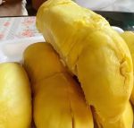 深夜看A片榴莲视频在线播放