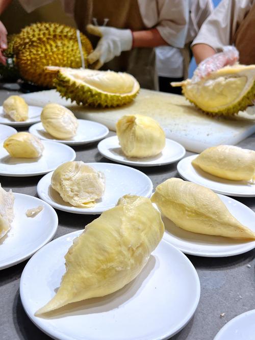 榴莲免费下载安装到手机旧版