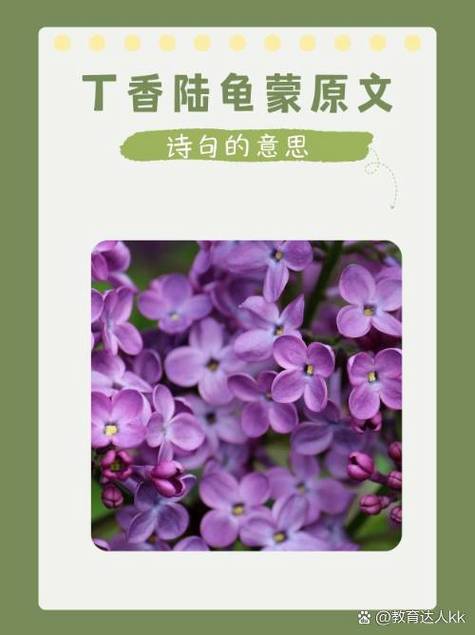 一区二区丁香国语版