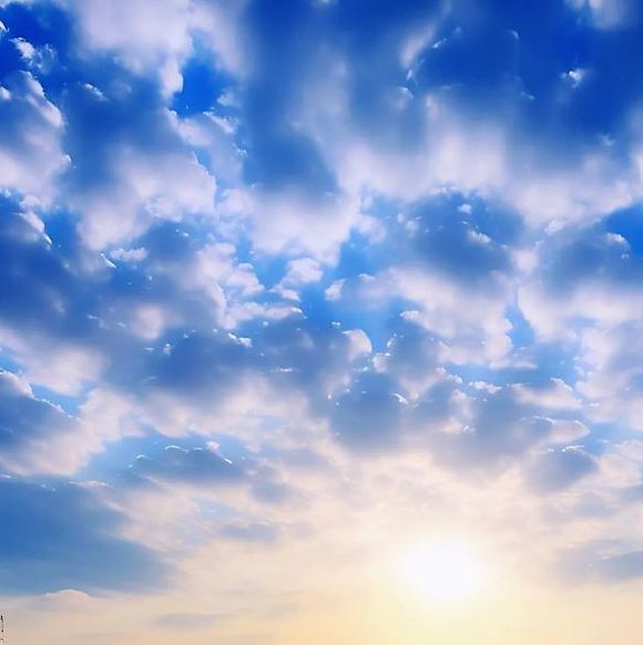 野花视频大全高清安卓版