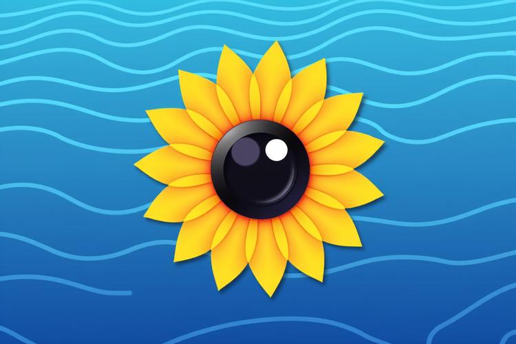 向日葵app下载网址进入