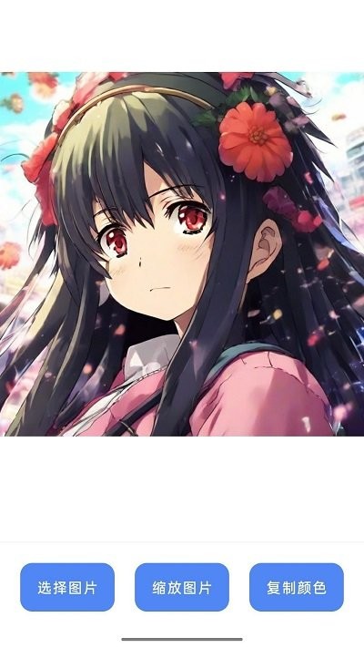 鸳鸯盒子最新版