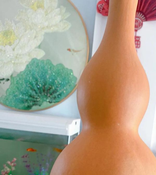 大菠萝葫芦视频