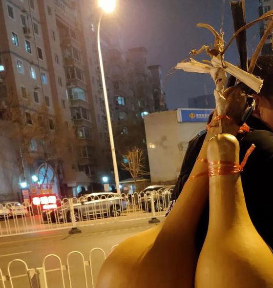 大菠萝葫芦视频