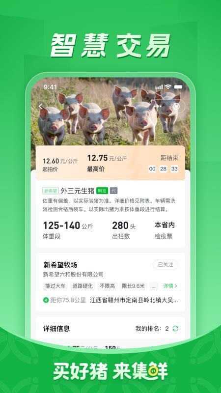 集鲜采猪老版本