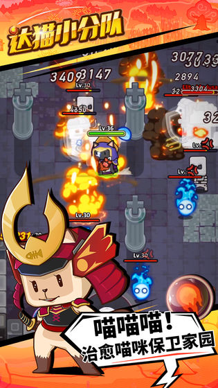 达猫小分队：炼金最新版