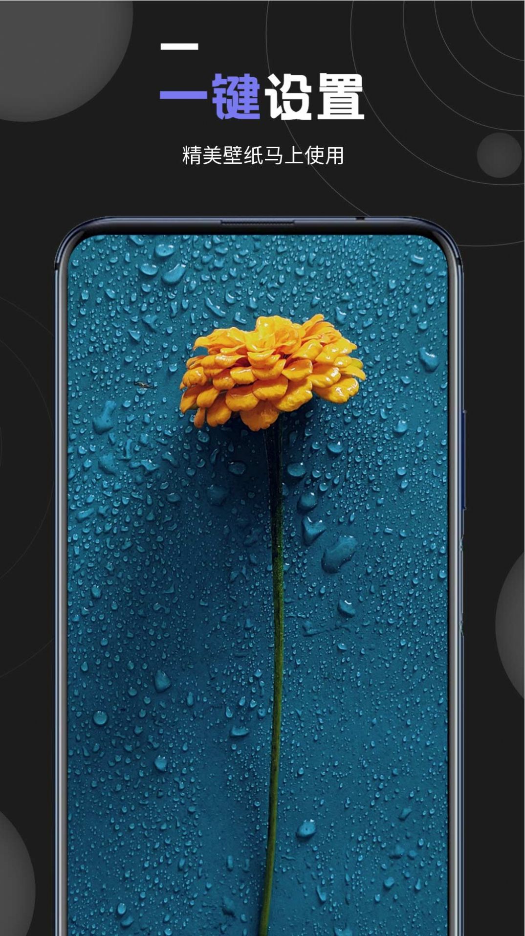 个性壁纸大全app官方版