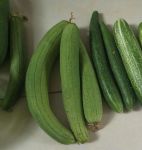 抖音樱桃丝瓜绿巨人黄瓜污版