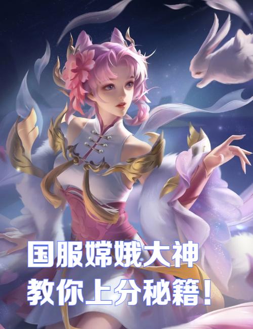 嫦娥二三区在线