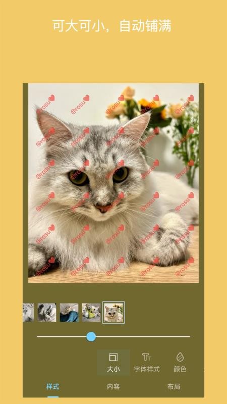 简单水印照片老版本