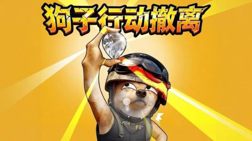 狗子行动撤离去更新版