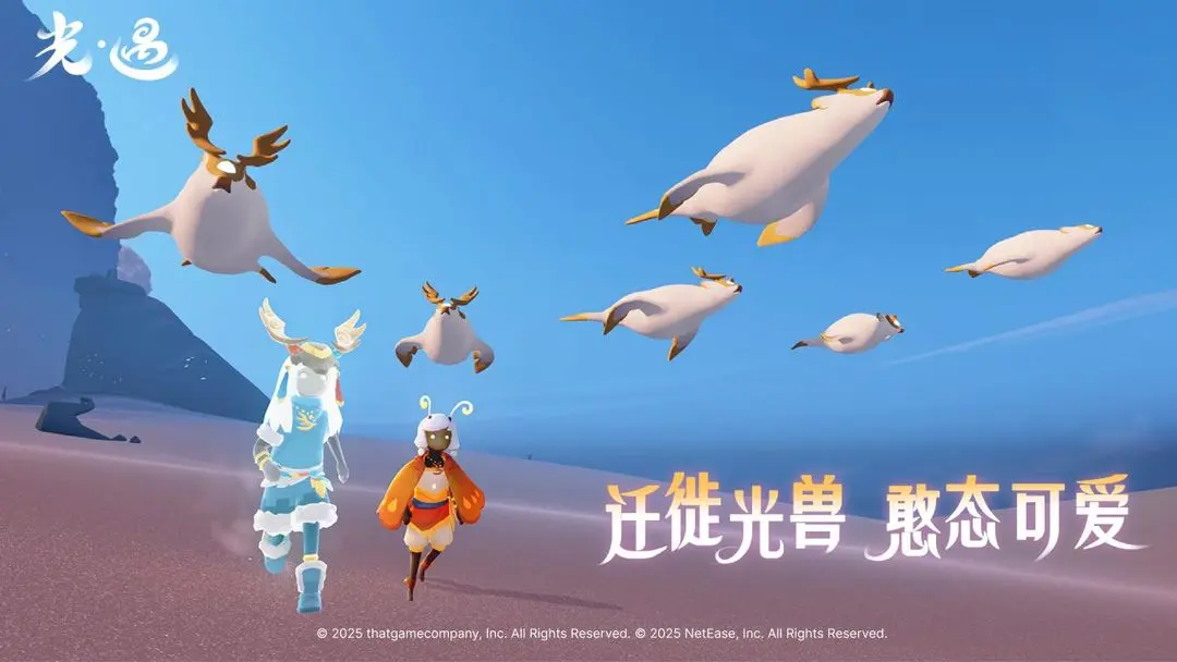 光&middot;遇免广告版