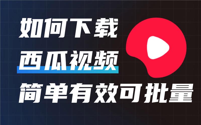 水果视频官网免费看