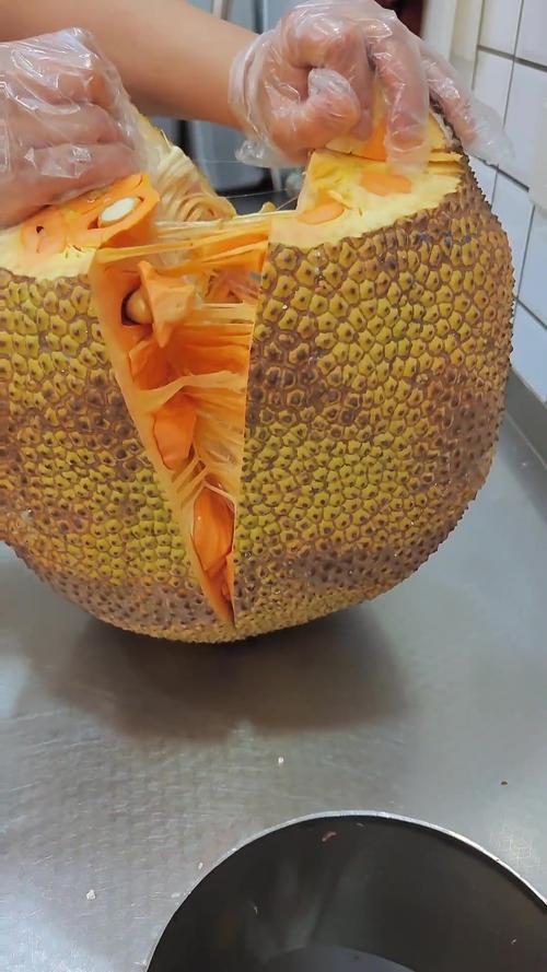 菠萝菠萝蜜视频高清版