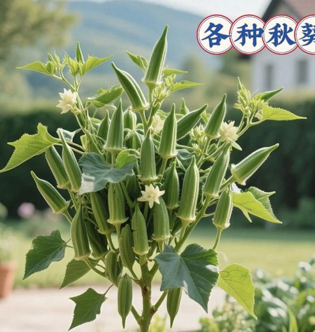 下载汅api免费秋葵