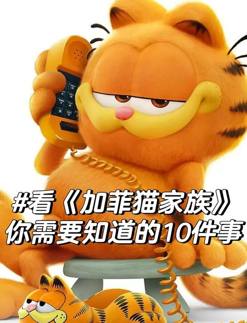 加菲猫影视安卓版