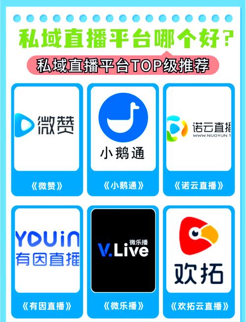 私域直播用什么软件