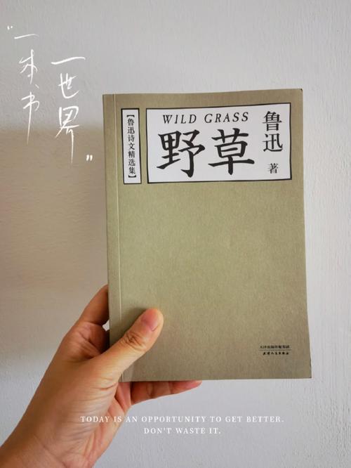 野草集高清完整版在线观看