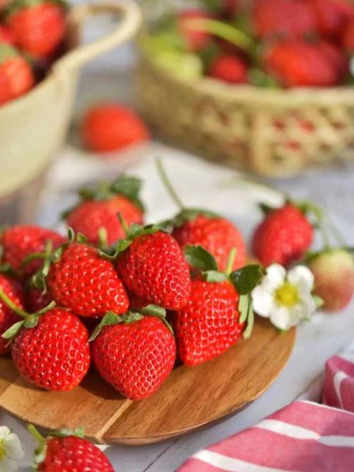 草莓视频cm 888tw在线观看